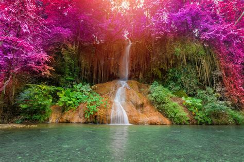 Beautiful Waterfall In Rainforest High Quality Nature
