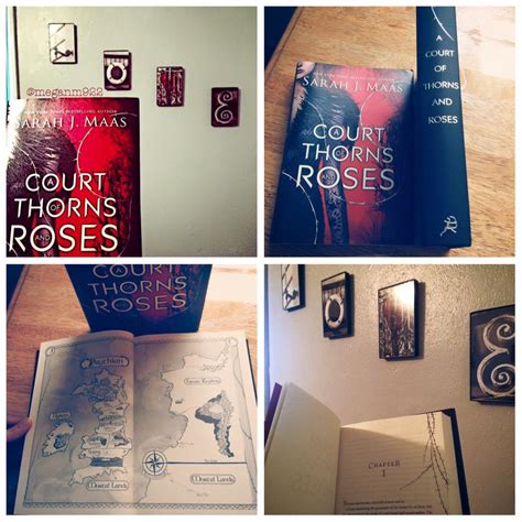 Love Literature Art And Reason Review A Court Of Thorn And Roses A Court Of Thorn And