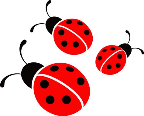 ladybug clipart png - Ladybugs Clipart Free Download - Ladybug Png | #1399519 - Vippng