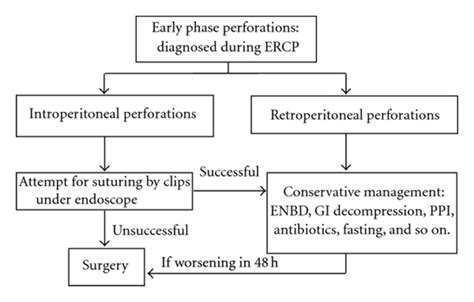 Early Management Algorithm Of Ercp Related Perforation Download