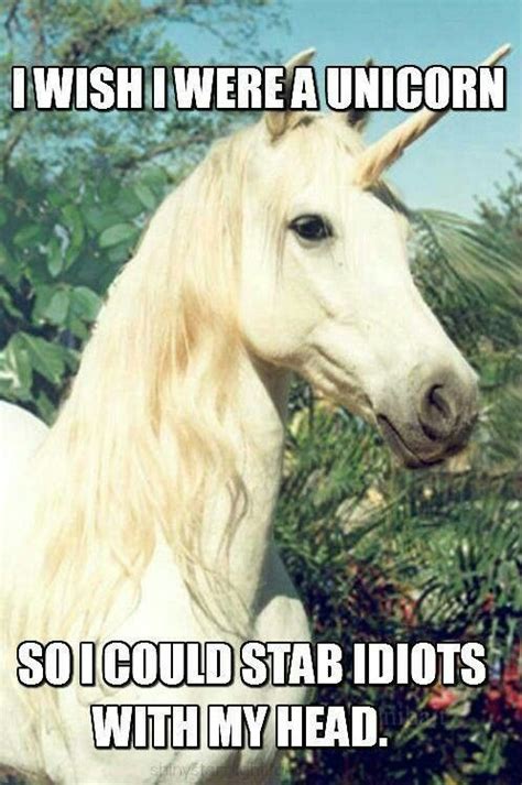 Pin By Cindy Stepp On Unicorns Funny Meme Pictures Funny Pictures