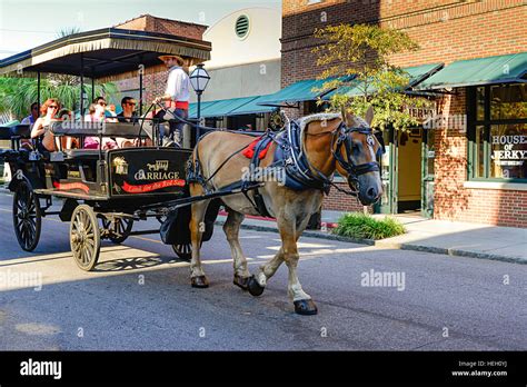 Tourist Horse Drawn Carriage Trolley Charleston Sc Zz Brown Anim Hi Res