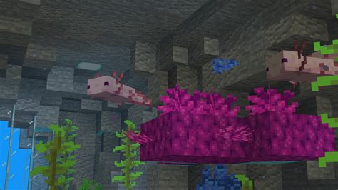 Axolotl Aquarium Minecraft