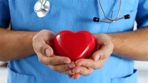 Enfermedades cardíacas seis puntos esenciales sobre la salud del corazón según los expertos