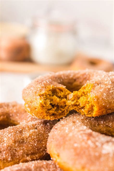 Baked Pumpkin Donuts Recipe By Blackberry Babe