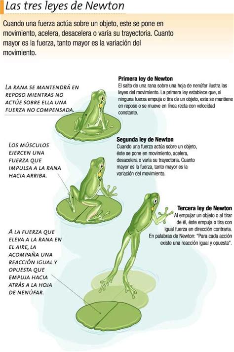 Tercera Ley De Newton Ejemplos Mantap