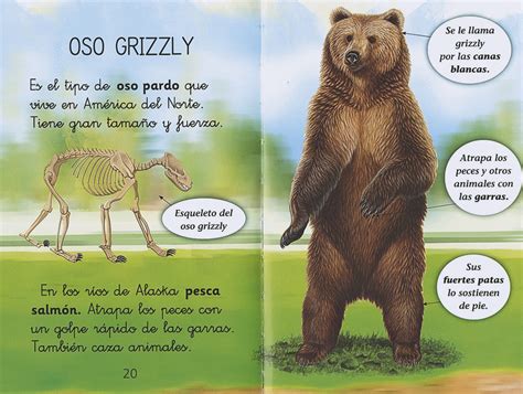 El Mundo De Los Osos Leer Con Susaeta