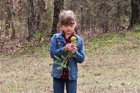 Young Girl Picking Wildflowers Free Stock Photo Public