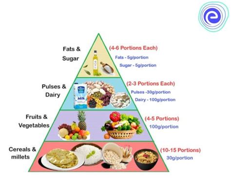 Balanced Diet Definition Components Importance And More Embibe