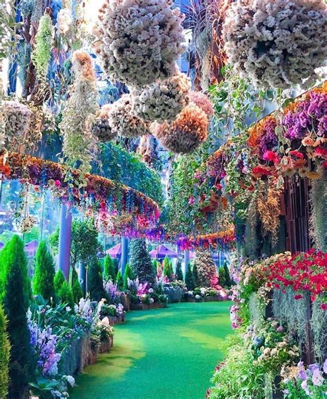 🔥 breathtaking gardens located in singapore 🔥 natureisfuckinglit beautiful places to visit