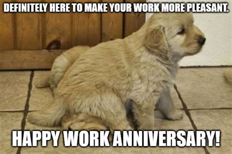 46 Grumpy Cat Approved Work Anniversary Memes Quotes And S To Send