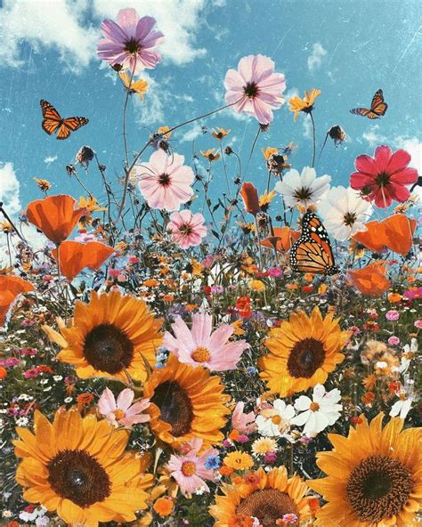 40 gambar wallpaper iphone hd full terbaru 2020taukah anda apa itu walpaper yang keren? Gambar mungkin berisi: bunga, tanaman, langit, luar ...