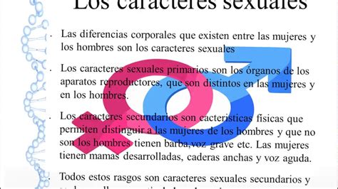 Los Caracteres Sexuales Y El Aparato Reproductor Youtube