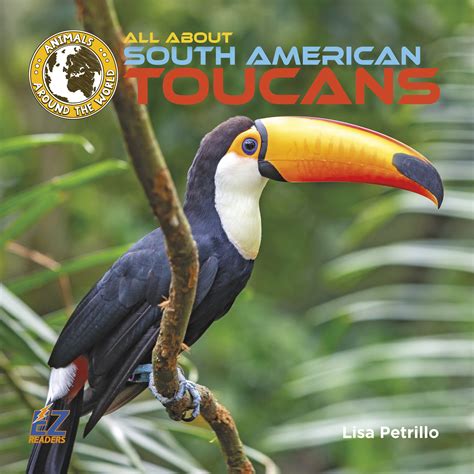 Toucans Are Tropical Birds The Taco Toucan Is The Most Famous Toucan
