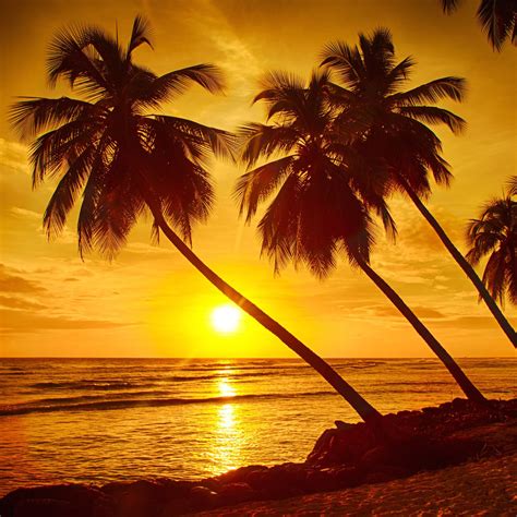 Sunset of the day: the Caribbean island of Barbados. #MySaves ...