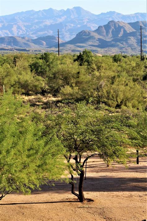 Scenic Landscape View From Rio Verde Sonoran Desert Maricopa County