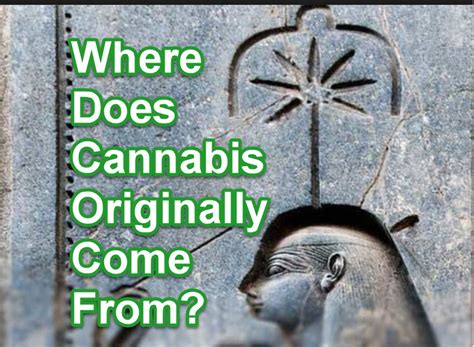 The History Of Cannabis Consumption