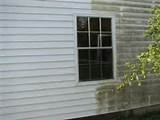 Kill Mildew On Wood Siding Pictures