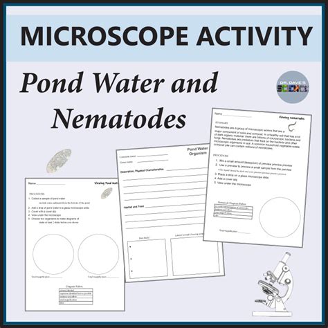Microscope Slide Lab Activity Worksheet Viewing Pond Water And