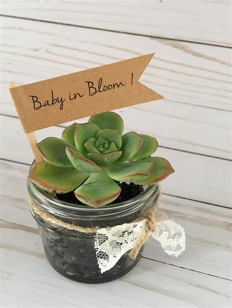 Such A Sweet Baby Shower Favor Idea Baby In Bloom Shower Favor