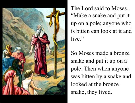 The Bronze Serpent A Bible Game For Numbers 216 9
