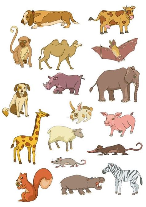 105 Best Fle Lexique Des Animaux Images On Pinterest French French