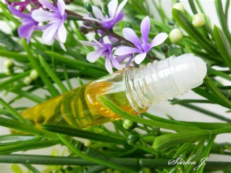 přírodní olejový parfém Organic beauty Beauty Glass vase