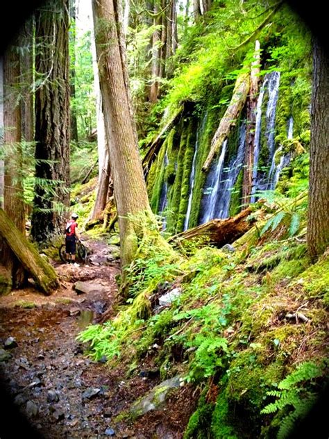 Umpqua Hot Springs And National Forest Oregon United States