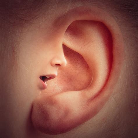 Constant Ringing In Ears Causes Symptoms And Treatment The Health