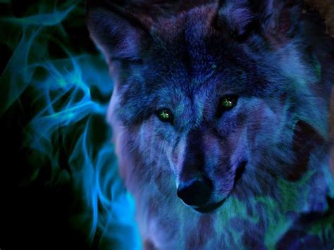 The great collection of cool wolf wallpaper for desktop, laptop and mobiles. Cool Wolf Backgrounds - Wallpaper Cave