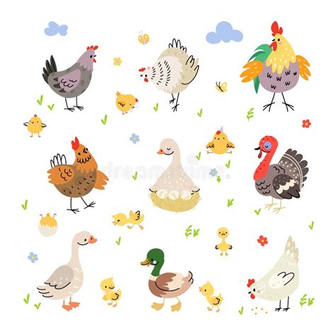 Farm Birds Cartoon Set Duck On Nest Turkey And Hen With Yellow