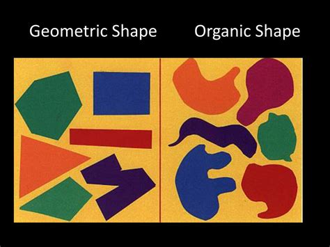 Definition Of Organic Shapes In Art Gloppolice