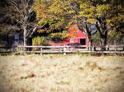 Find the perfect horse barn stock photos and editorial news pictures from getty images. Red barn with horse stock photo. Image of beautiful ...