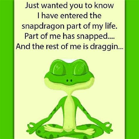 Funny Frog Quotes Facebook Maxpals