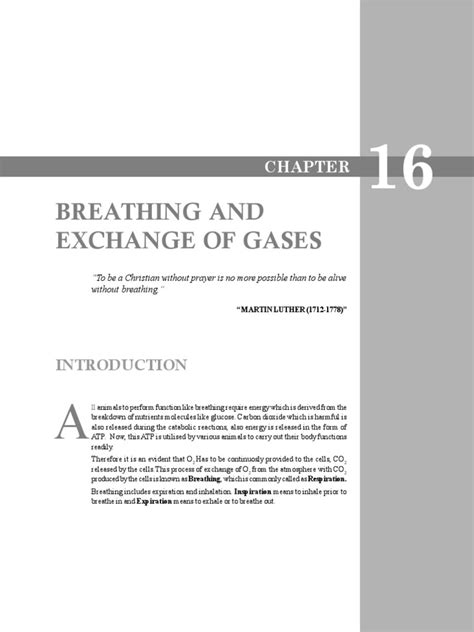 Breathing Exchange Of Gases Pdf Respiratory System Exhalation