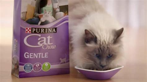 Purina Cat Chow Gentle Tv Spot Adjustments Ispottv