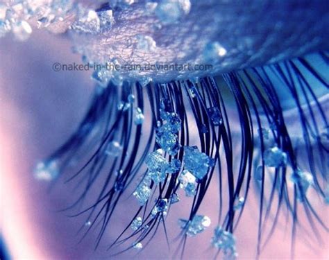 45 Mind Blowing Macro Photography