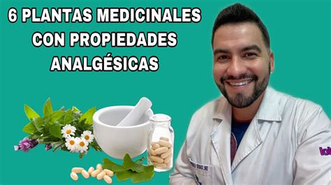 Plantas Medicinales Con Propiedades Analgesicas Plantas Medicinales David Campos Youtube