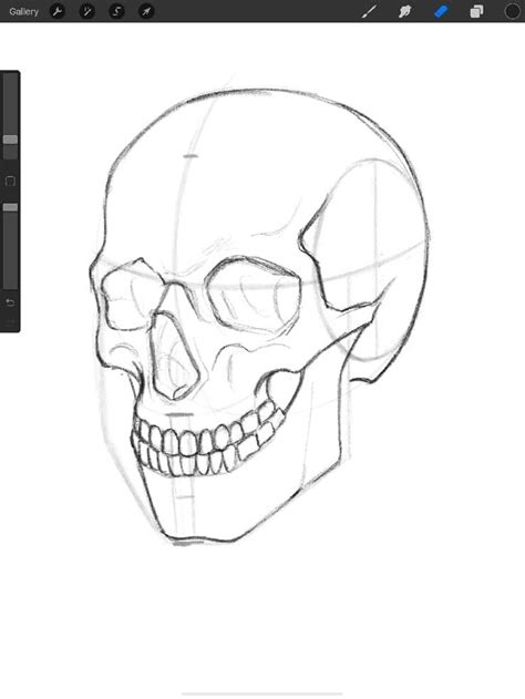 3 Easy Ways To Draw A Skull In Procreate Human Skull Drawing Easy