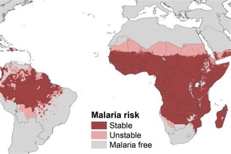 Malaria wird auch als sumpffieber bezeichnet, da die krankheit besonders in sumpfgebieten und feuchtwarmen regionen auftritt. Forschung: Angriff auf gefährlichsten Malaria-Erreger ...