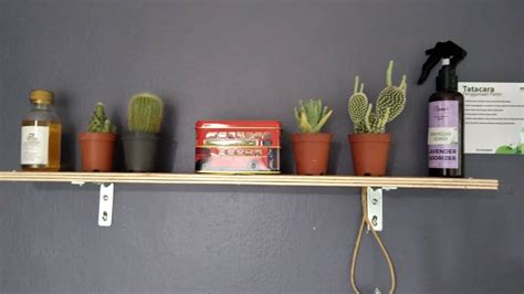 22 januari 2020 (rabu) tempat : Go Green Zon Amaryllis ~ Perda Ekosistem Kondusif Sektor ...