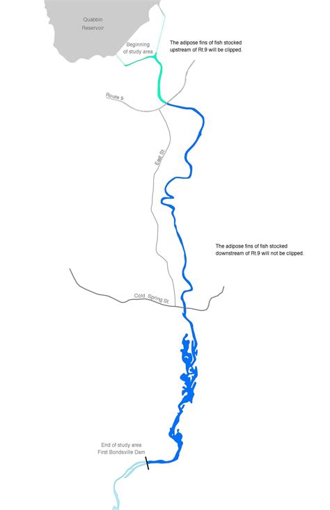 Swift River Fisheries Research