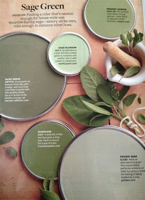 Green is a color that makes me feel alive. Related image | Sage green paint color, Sage green paint ...