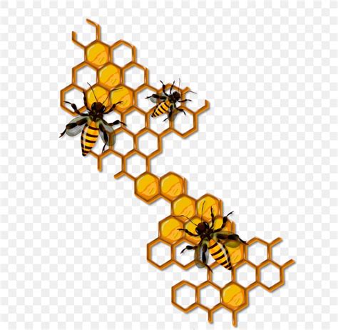 Bee Honeycomb Insect Clip Art Png 636x800px Bee Albom Animal