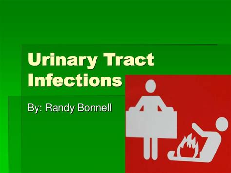 Ppt Urinary Tract Infections Powerpoint Presentation Free Download Id6664233