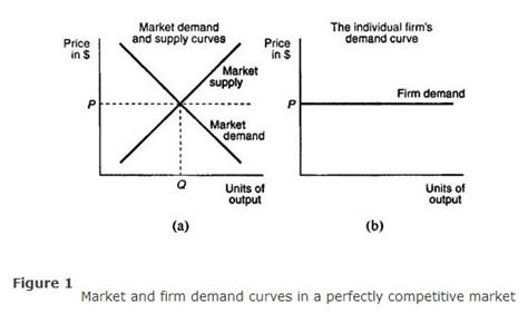 Demand In A Perfectly Competitive Market