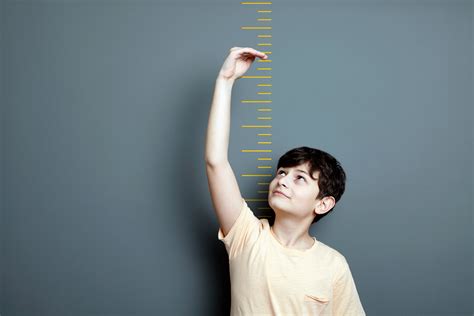 Variation In Human Height