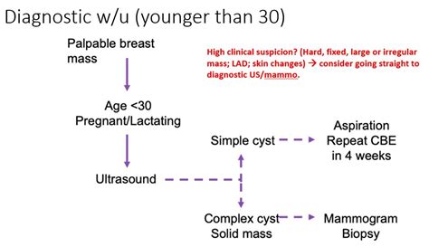 Breast Mass Diagnostic Workup Algorithm Younger Grepmed