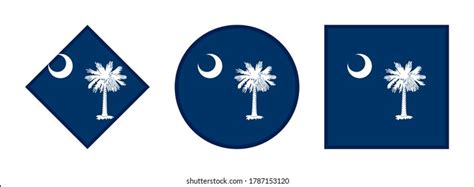 South Carolina Flag Icon Set American Stock Vector Royalty Free
