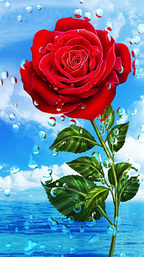 Rose Flower Hd Wallpaper For Android Mobile Best Flower Site